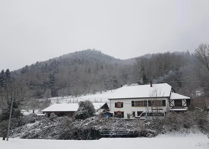 Hotel Le Creux Chene Rombach-le-Franc